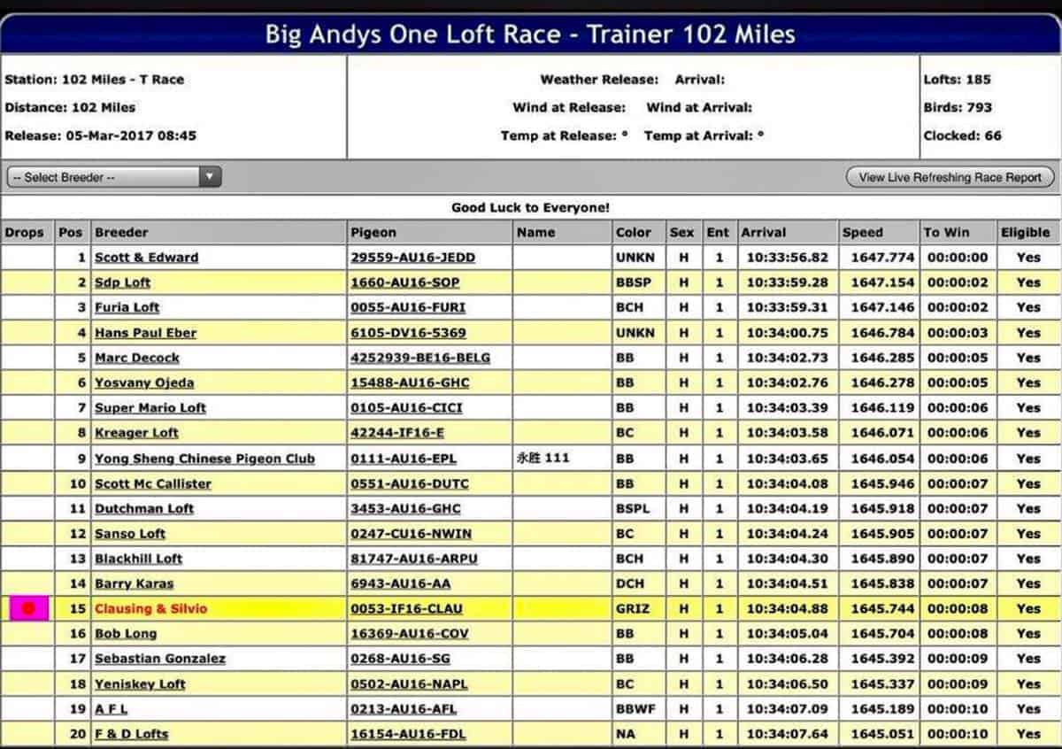 Big Andys One Loft Race, Trainer, 102 Mile, Lake City 2017-3-19