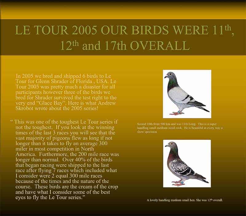 Le Tour des Maritimes 2005, Our Birds were 11th, 12th, and 17th.