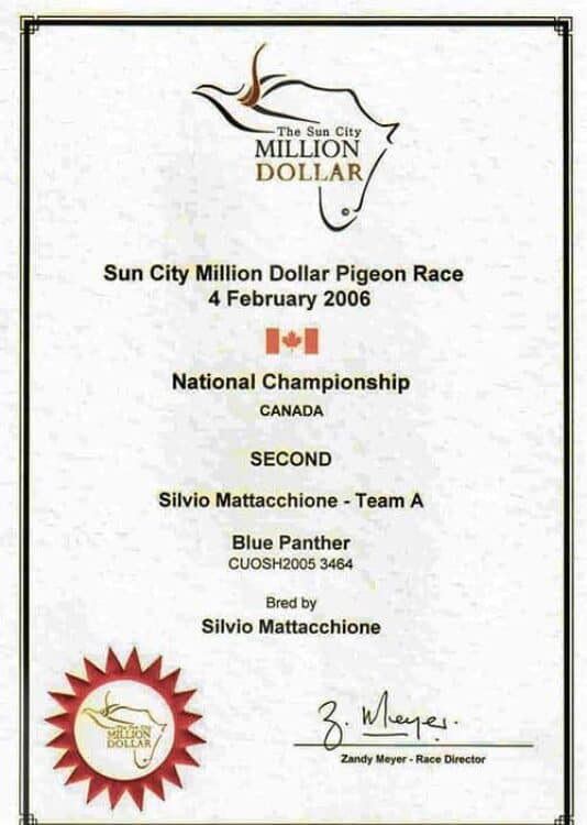 Sun City Million Dollar Pigeon Race 2006, Blue Panther 2nd National for Canada Overall S. Mattacchione Certificate