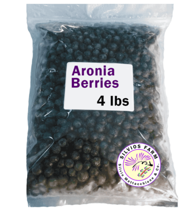 Aronia Berries - Fresh Frozen - 4lb Package
