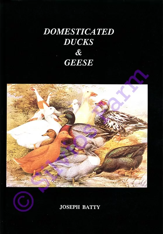 Domesticated Ducks & Geese: by Dr. Joseph Batty