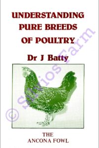 Understanding Pure Breeds of Poultry: The Ancona Fowl: by Dr. Joseph Batty