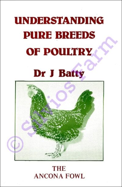 Understanding Pure Breeds of Poultry: The Ancona Fowl: by Dr. Joseph Batty