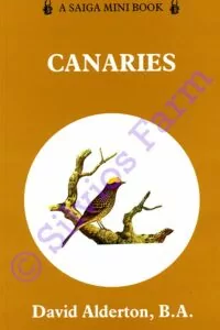 Canaries: by David Alderton