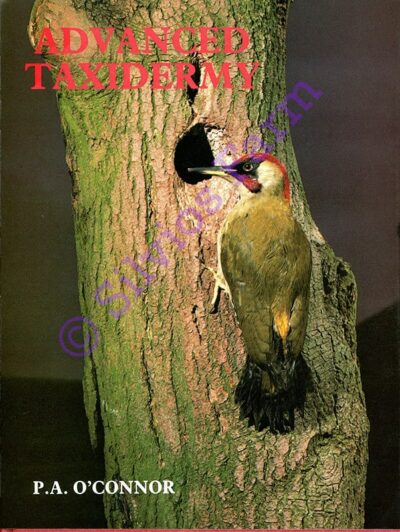 Advanced Taxidermy: by Peter Andrew O'Connor (Author)