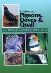 A Guide to Pigeons, Doves & Quail: Their Management, Care & Breeding: by Dr. Danny Brown