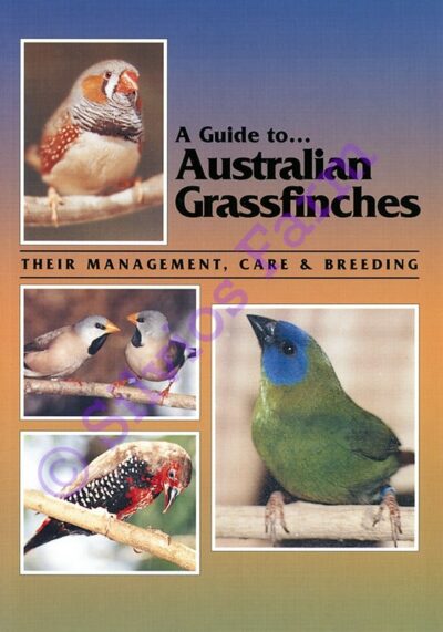 A Guide To Australian Grassfinches Their Management, Care & Breeding: by Russell Kingston