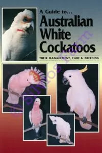 A Guide to Australian White Cockatoos: Their Management Care & Breeding: by Chris Hunt