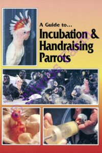 A Guide to Incubation & Handraising Parrots: by Phil Digney