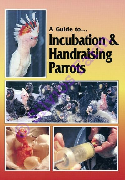 Parrot Incubation - A Guide to Incubation & Handraising Parrots: by Phil Digney