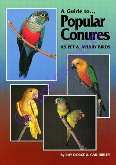 A Guide to Popular Conures as Pet and Aviary Birds: by Ray Dorge & Gail Sibley