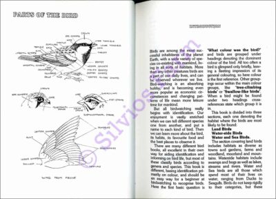 The Colour Guide to British Birds and their Eggs: by Frances Fry (Author)