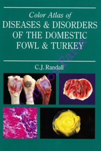 Color Atlas of Diseases & Disorders Of The Domestic Fowl & Turkey: by C. J. Randall