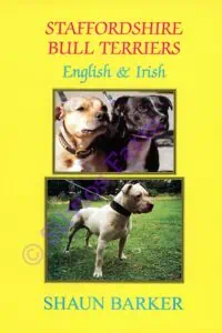Staffordshire Bull Terriers English & Irish: by Shaun Barker