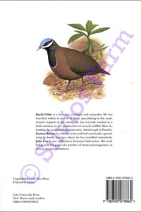 Pigeons and Doves - A Guide to Pigeons and Doves of the World: by David Gibbs, Eucstace Barnes and John Cox