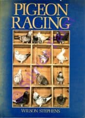 Pigeon Racing: by Wilson Stephens