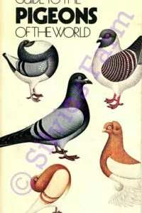 Guide to Pigeons of the World: by Andrew McNeillie