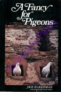 A Fancy for Pigeons: by Jack Kligerman