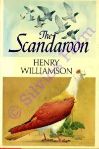 The Scandaroon: by Henry Williamson