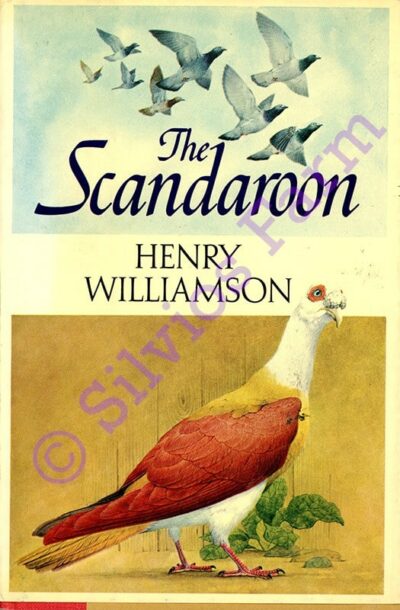 The Scandaroon: by Henry Williamson, 0841502404