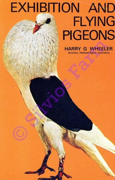 Exhibition and Flying Pigeons: by Harry G. Wheeler