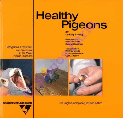 Healthy Pigeons HC 19th Edition: by Dr. L. Schrag