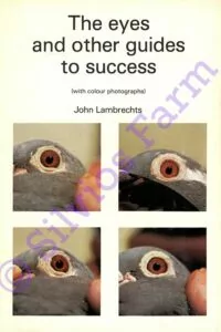 The Eyes and other guides to Success: Eye Sign Book by John Lambrechts