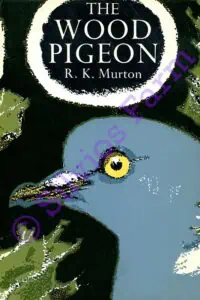 The Wood Pigeon: by R. K. Murton