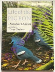 Life of the Pigeon: by Alexander F. Skutch (Author)  & Dana Garner (Illustrator)