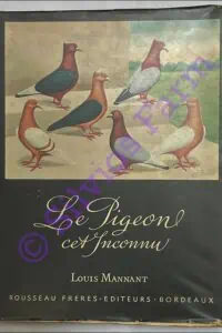 Le Pigeon cet Inconnu / The Unknown Pigeon : by Louis Mannant