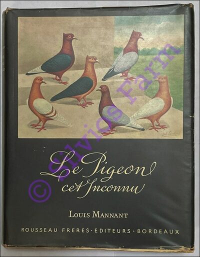 Le Pigeon cet Inconnu / The Pigeon this Unknown: by Louis Mannant