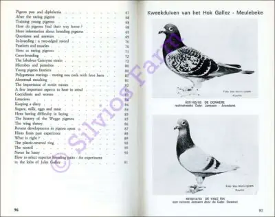 Hints for Racing Pigeon Fanciers / Wenken voor Duivenliefhebbers: by Jules Gallez (Author)