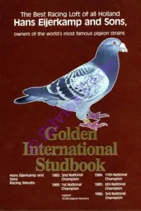 Best Racing Loft of all Holland Hans Eijerkamp & Sons Golden International Studbook