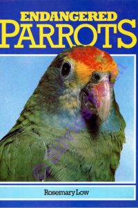 Endangered Parrots: by Rosemary Low
