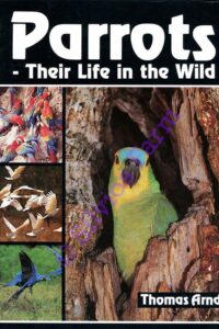 Parrots - Their Life in the Wild: by Thomas Arndt