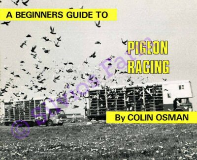 A Beginners Guide to Pigeon Racing: by Colin Osman